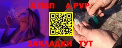 шишки Тверь