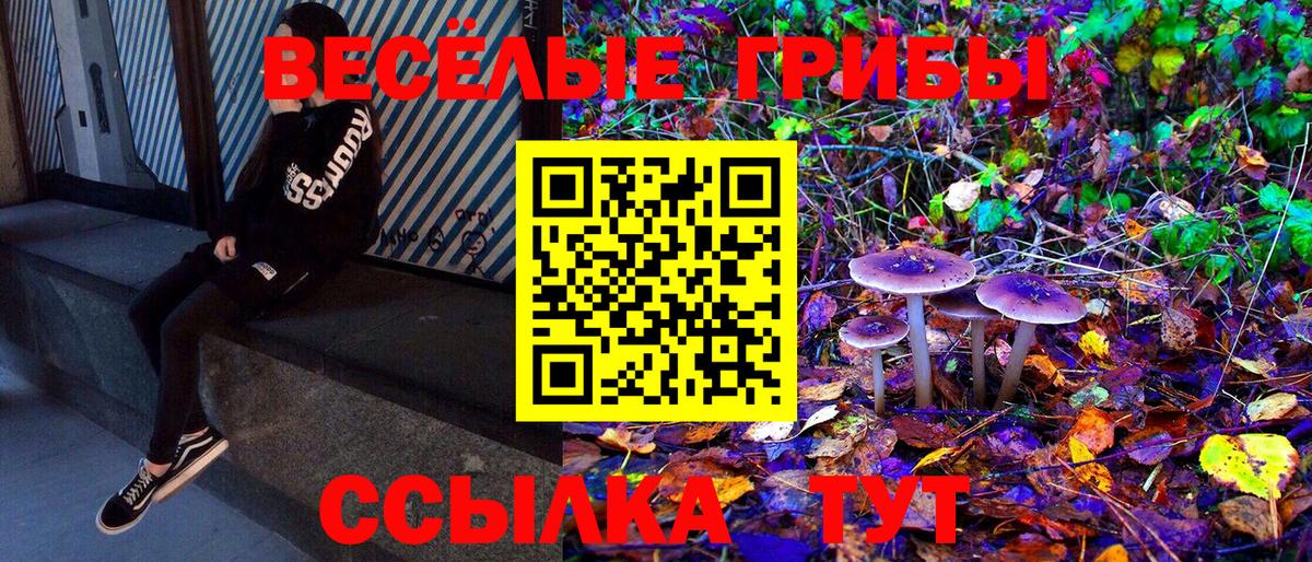 Псилоцибиновые грибы мицелий  Вход с VPN  Набережные Челны 